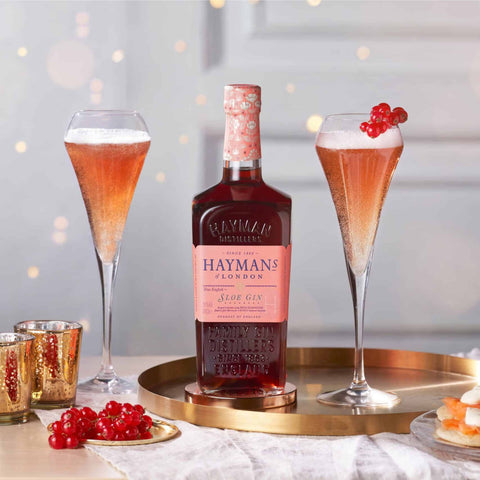 Hayman's Sloe Gin，琴酒﹙預訂﹚